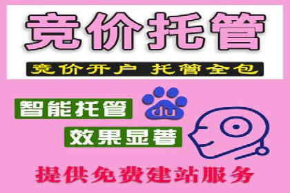 服装品牌SEM外包服务的市场推广案例