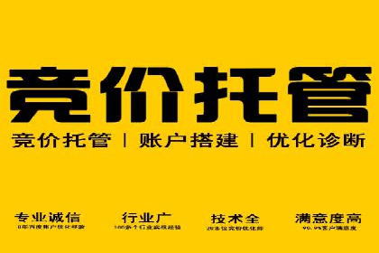 某行业头部企业信息流广告推广全解析